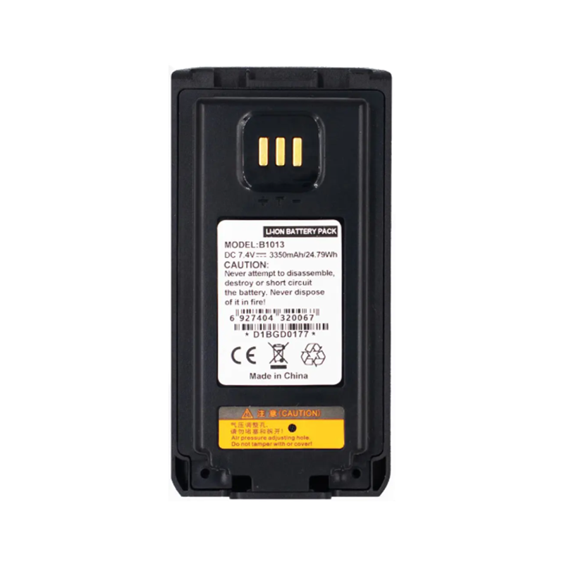 B1013 battery